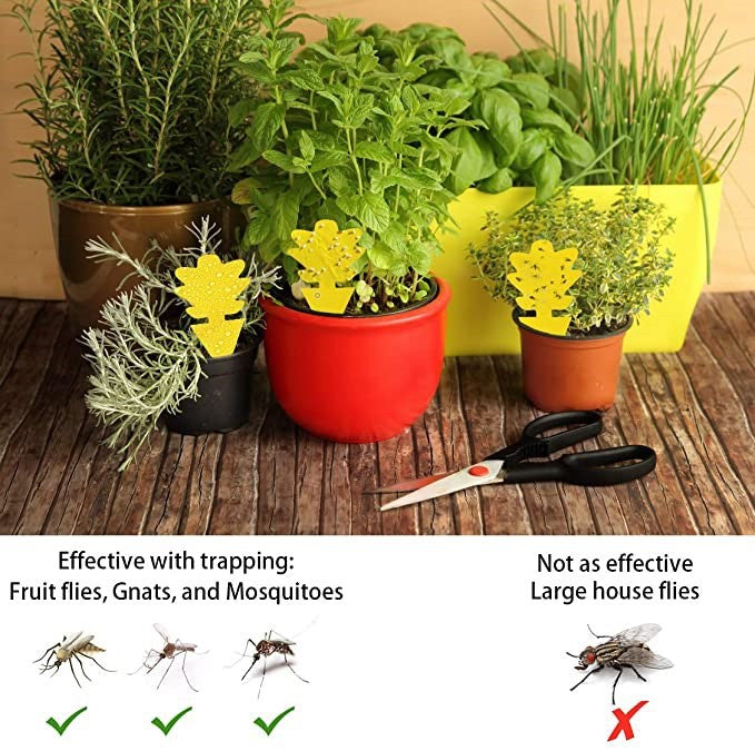 AquaShield™ | Double-Sided Waterproof Sticky Pest Control Board