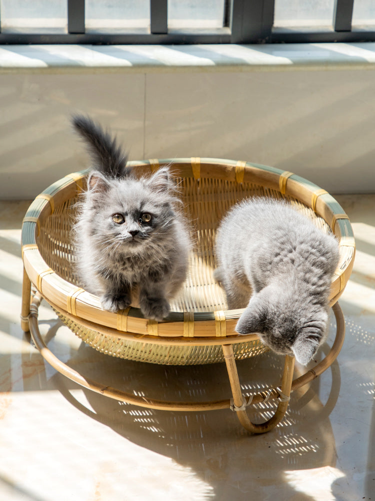 DryDrain™ | Household Storage Baskets for Drying and Draining Dustpan