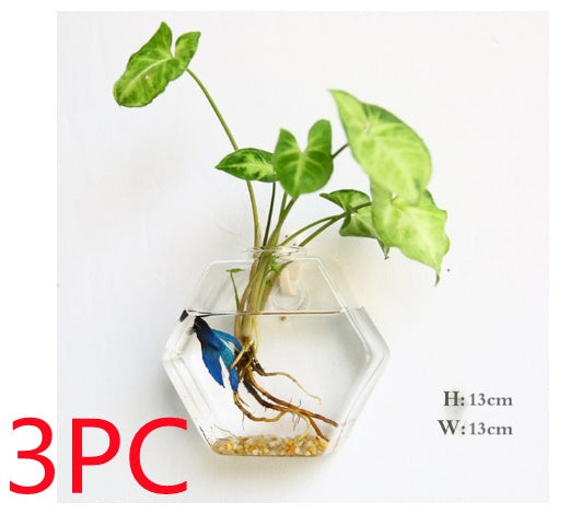 Fashion Wall Hanging Glass Flower Vase