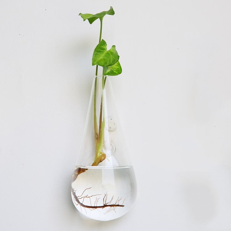 Fashion Wall Hanging Glass Flower Vase