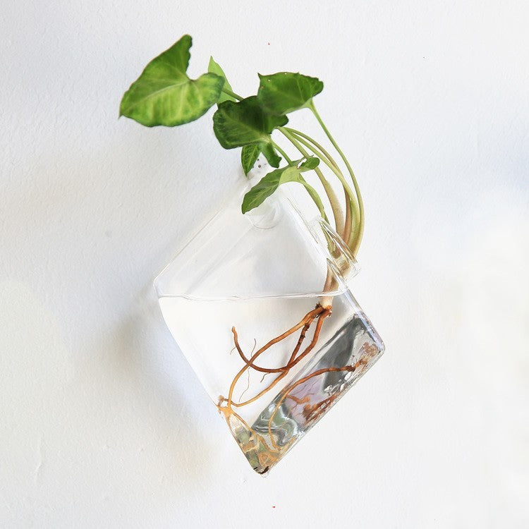 Fashion Wall Hanging Glass Flower Vase
