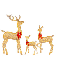 Christmas Deer Lighting Garden